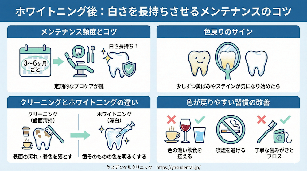 メンテナンスの頻度は何ヶ月ごと?白さを長持ちさせるコツ